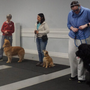 Three people standing with their dogs on leashes in a room, appearing to be in a training or obedience class.