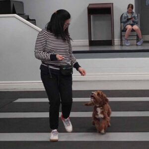 A woman in a striped sweater is training a small brown dog indoors. A person in the background sits on a chair, looking at a phone.