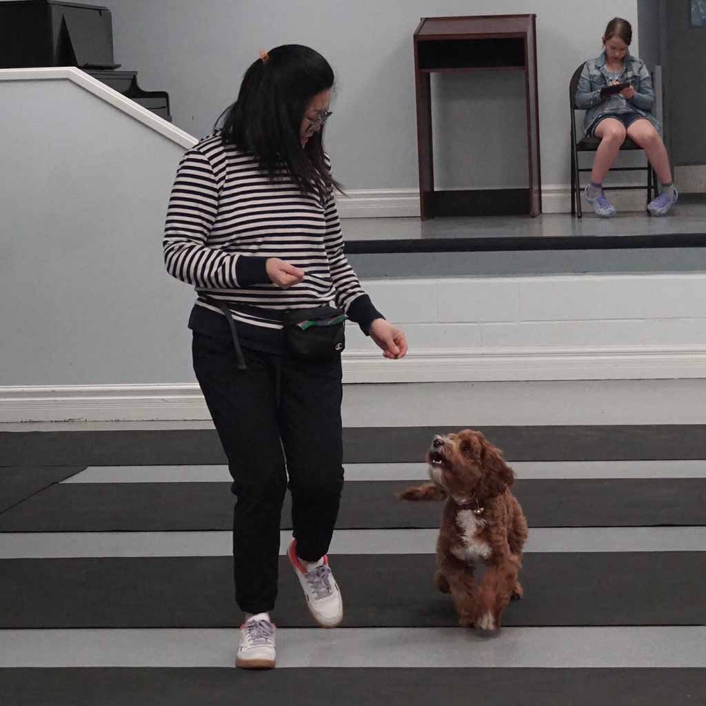 A woman in a striped sweater is training a small brown dog indoors. A person in the background sits on a chair, looking at a phone.