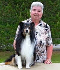 A person with short gray hair stands outside behind a Shetland Sheepdog seated on a table, with trees in the background.