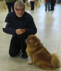 A person kneels beside a fluffy tan dog on a concrete floor, possibly at an indoor event or competition.