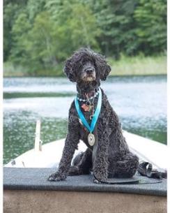 A curly-haired dog wearing a medal sits on a boat by a lake with a wooded background.