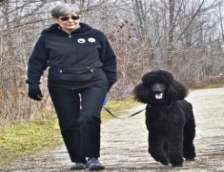 Person walking with a black poodle on a path, surrounded by bare trees.