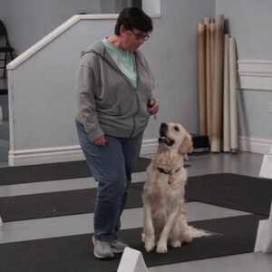 A person in casual clothing walks alongside a sitting golden retriever indoors during a training session.