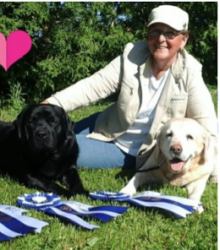 A person sitting on grass with two Labrador Retrievers and several blue and white ribbons, with a pink heart symbol nearby.