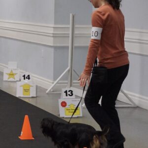 Rally Obedience Beginner