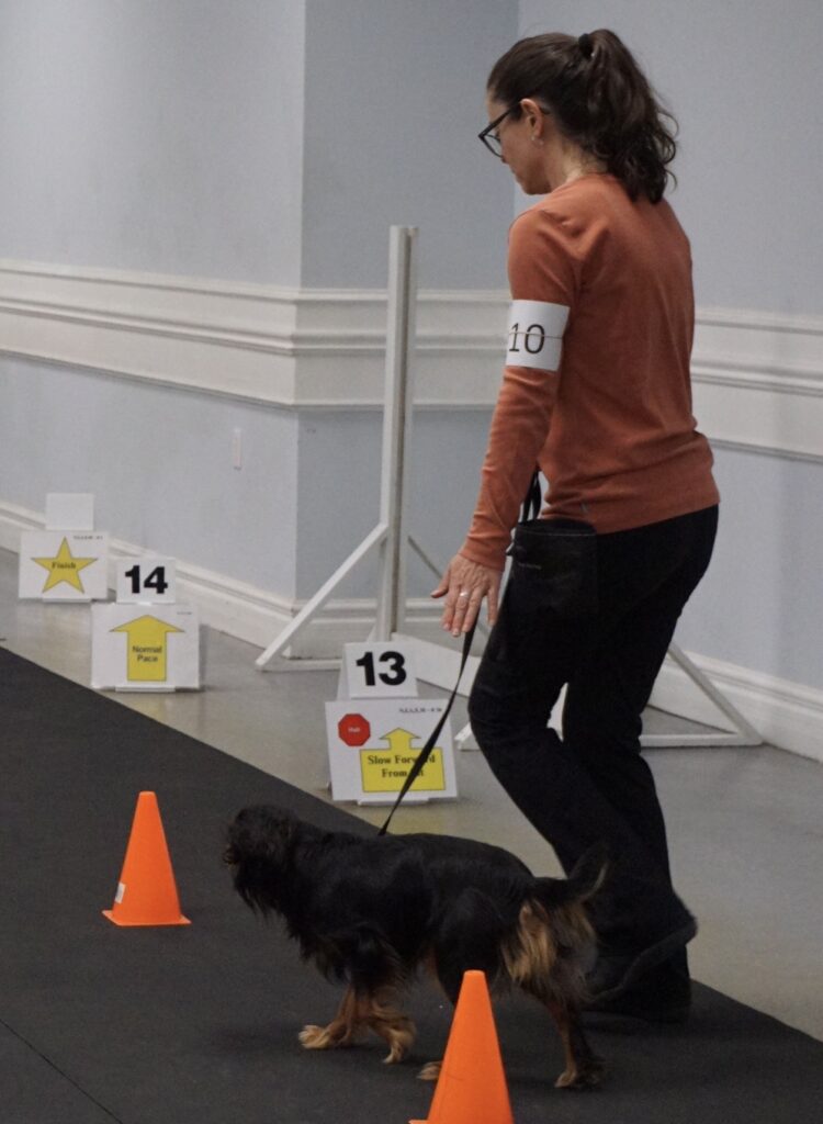 Rally Obedience Beginner