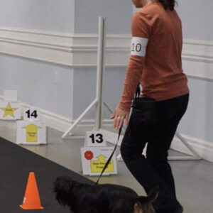 Rally Obedience Beginner