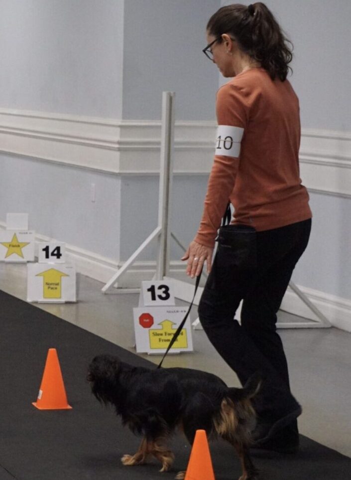 Rally Obedience Beginner
