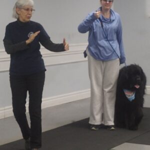 Next Steps in Dog Training