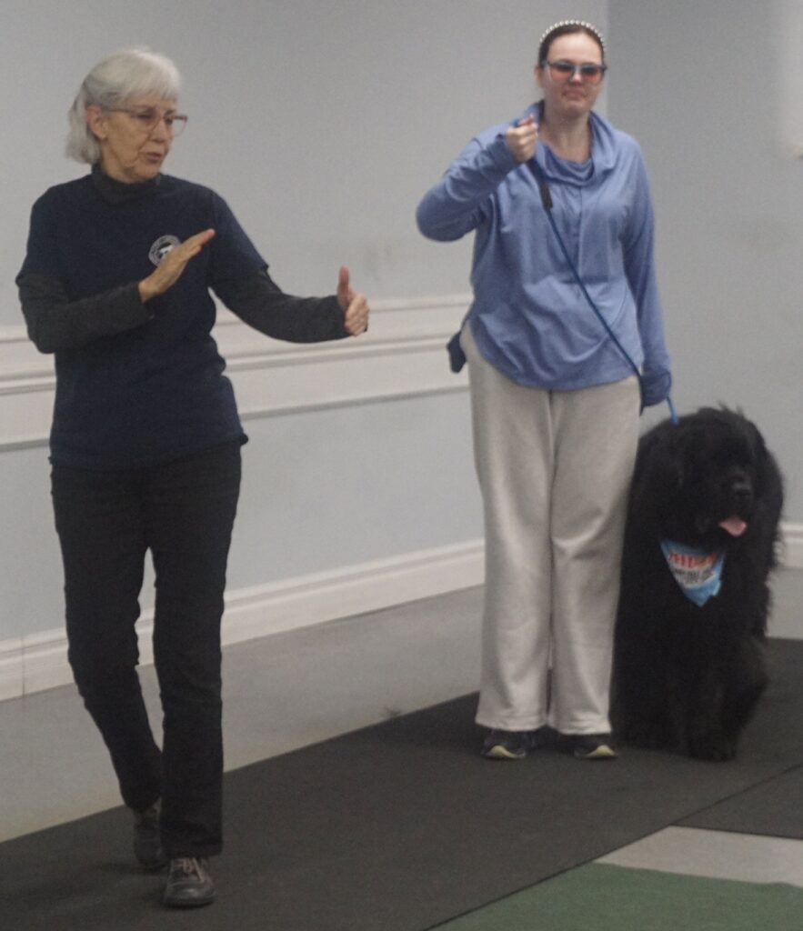 Next Steps in Dog Training