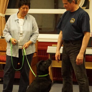 First Steps in Dog Training