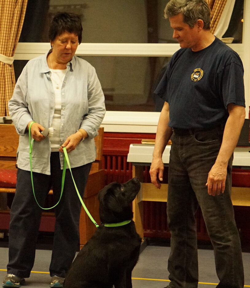 First Steps in Dog Training
